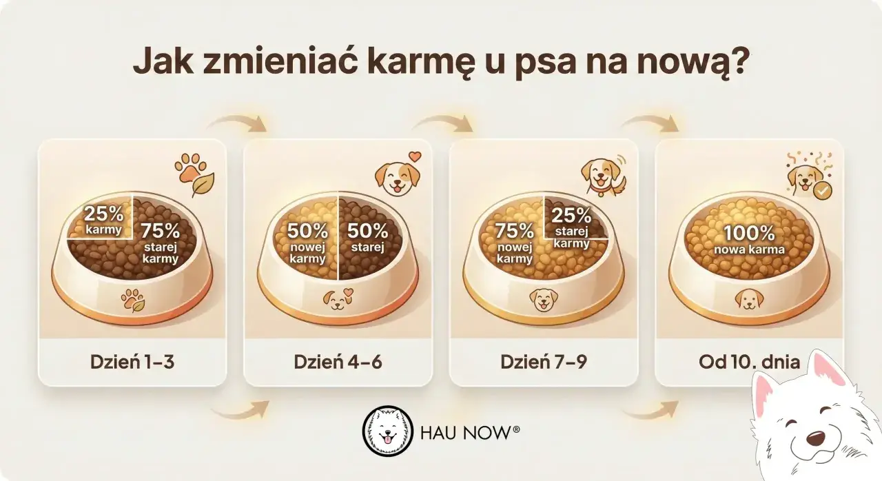Grafika pokazuje stopniową zmianę karmy u psa: 25% nowej karmy przez 3 dni, potem 50/50, następnie 75% nowej karmy, aż do 100% nowej karmy od 10. dnia.