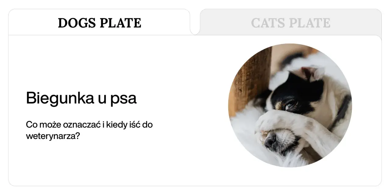 Pies z rozwolnieniem, zasłaniający oczy łapą. Artykuł o biegunce u psa i kiedy udać się do weterynarza.