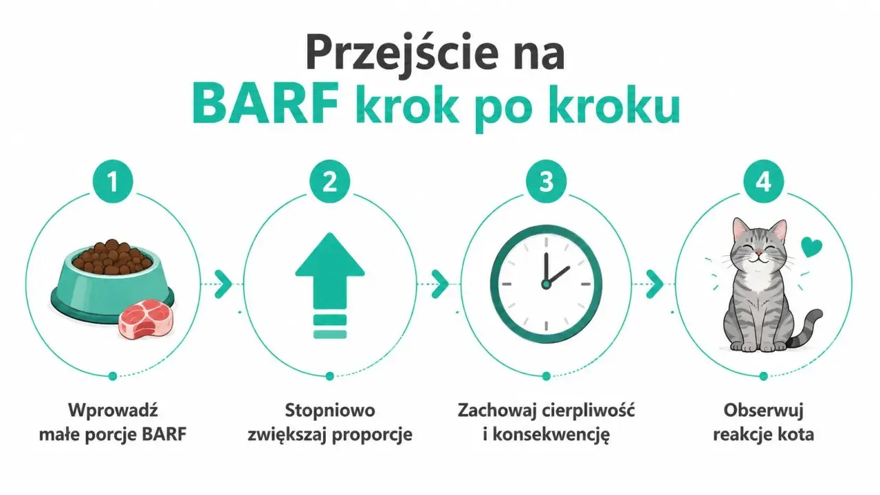 Przejście na BARF krok po kroku: małe porcje, stopniowe zwiększanie, cierpliwość i obserwacja reakcji kota. Jak karmić kota zdrowo!