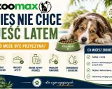 Pies nie chce jeść latem? Wysokie temperatury, zmiana rutyny, problemy trawienne lub odwodnienie mogą być przyczyną. Zadbaj o wodę i lekkostrawną karmę.