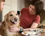 Zastanawiasz się, czy pies może jeść twaróg? Ten złoty retriever wygląda na zadowolonego, gdy dwie kobiety go głaszczą.