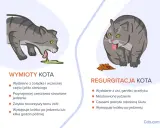 Ilustracja pokazuje dwa koty. Po lewej kot wymiotuje, wydalając niestrawione jedzenie z żołądka. Po prawej kot ma regurgitację, wydalając jedzenie z gardła.