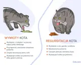 Ilustracja pokazuje dwa koty: jeden wymiotuje, drugi zwraca niestrawione jedzenie. Objawy zatrucia u kota mogą być różne.