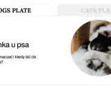 Pies z rozwolnieniem, zasłaniający oczy łapą. Artykuł o biegunce u psa i kiedy udać się do weterynarza.