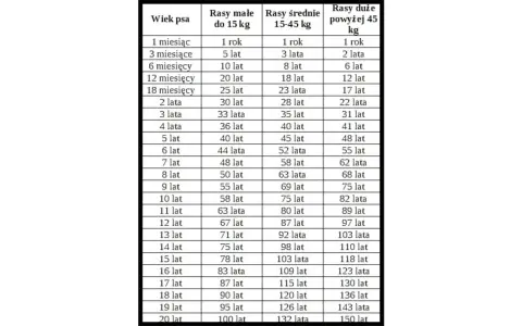 Tabela porównująca psie lata na ludzkie dla ras małych, średnich i dużych.