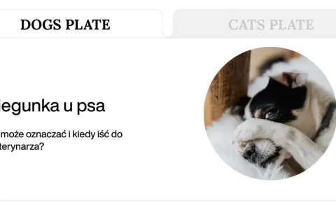 Pies z rozwolnieniem, zasłaniający oczy łapą. Artykuł o biegunce u psa i kiedy udać się do weterynarza.