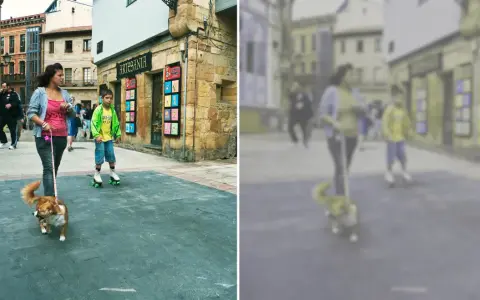 Spacerem po mieście, gdzie pies widzi głównie odcienie żółci i niebieskiego, a dziewczyna prowadzi go na smyczy.