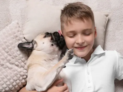 Chłopiec leży z zamkniętymi oczami, a mops go liże. Może to jego sposób na powiedzenie "czemu pies mnie liże", czyli "kocham cię".