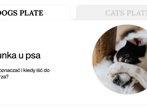 Pies z rozwolnieniem, zasłaniający oczy łapą. Artykuł o biegunce u psa i kiedy udać się do weterynarza.