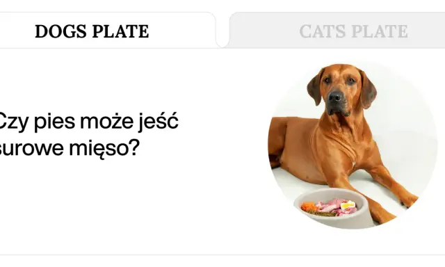 Pies rasy Rhodesian Ridgeback leży obok miski z surowym mięsem, warzywami i jajkiem. Czy pies może jeść surowe mięso?