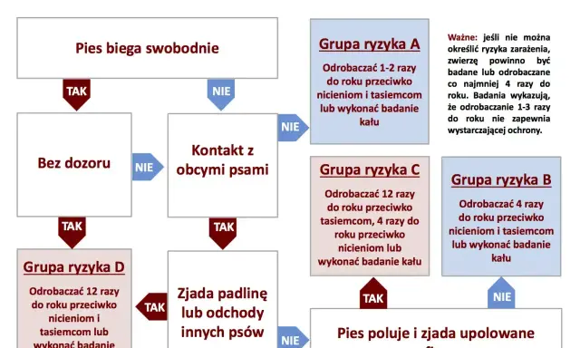 Schemat odrobaczania psów: jak często odrobaczać psa zależy od jego stylu życia i kontaktu z innymi zwierzętami. Grupy ryzyka A, B, C, D określają częstotliwość.
