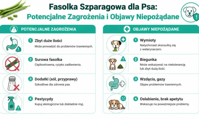 Czy pies może jeść fasolkę szparagową? Infografika ostrzega przed zagrożeniami: zbyt dużą ilością, surową fasolką, dodatkami i pestycydami. Objawy niepożądane to wymioty, biegunka, gazy i osłabienie.