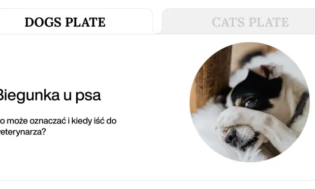 Pies z rozwolnieniem, zasłaniający oczy łapą. Artykuł o biegunce u psa i kiedy udać się do weterynarza.